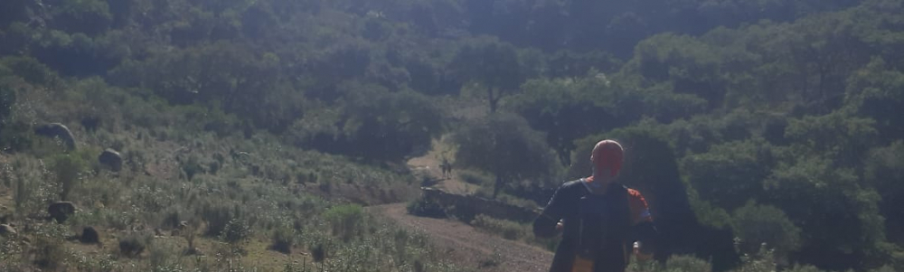 User banner image